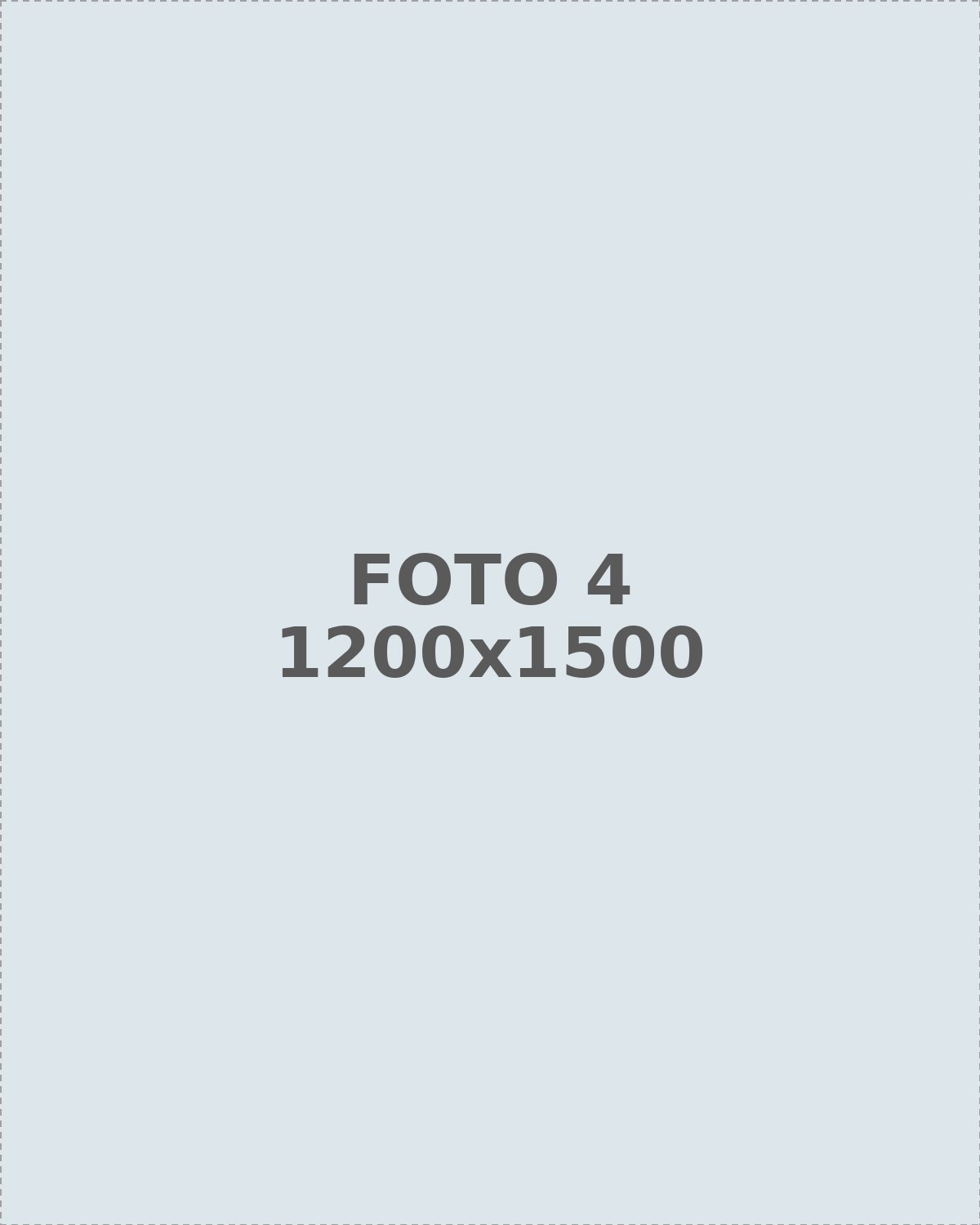 Detalle de las 5 líneas